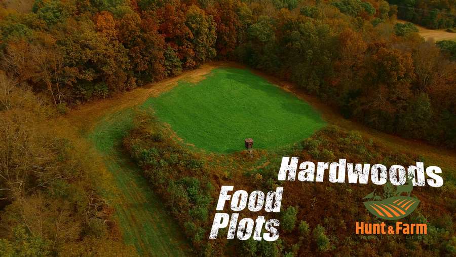 Still 2025-11-29 081237_1.97.14.jpg